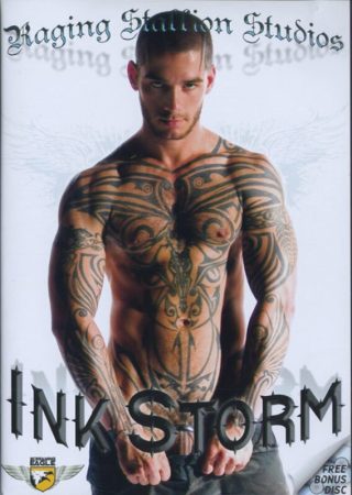 Ink Storm (2 DVD-s)